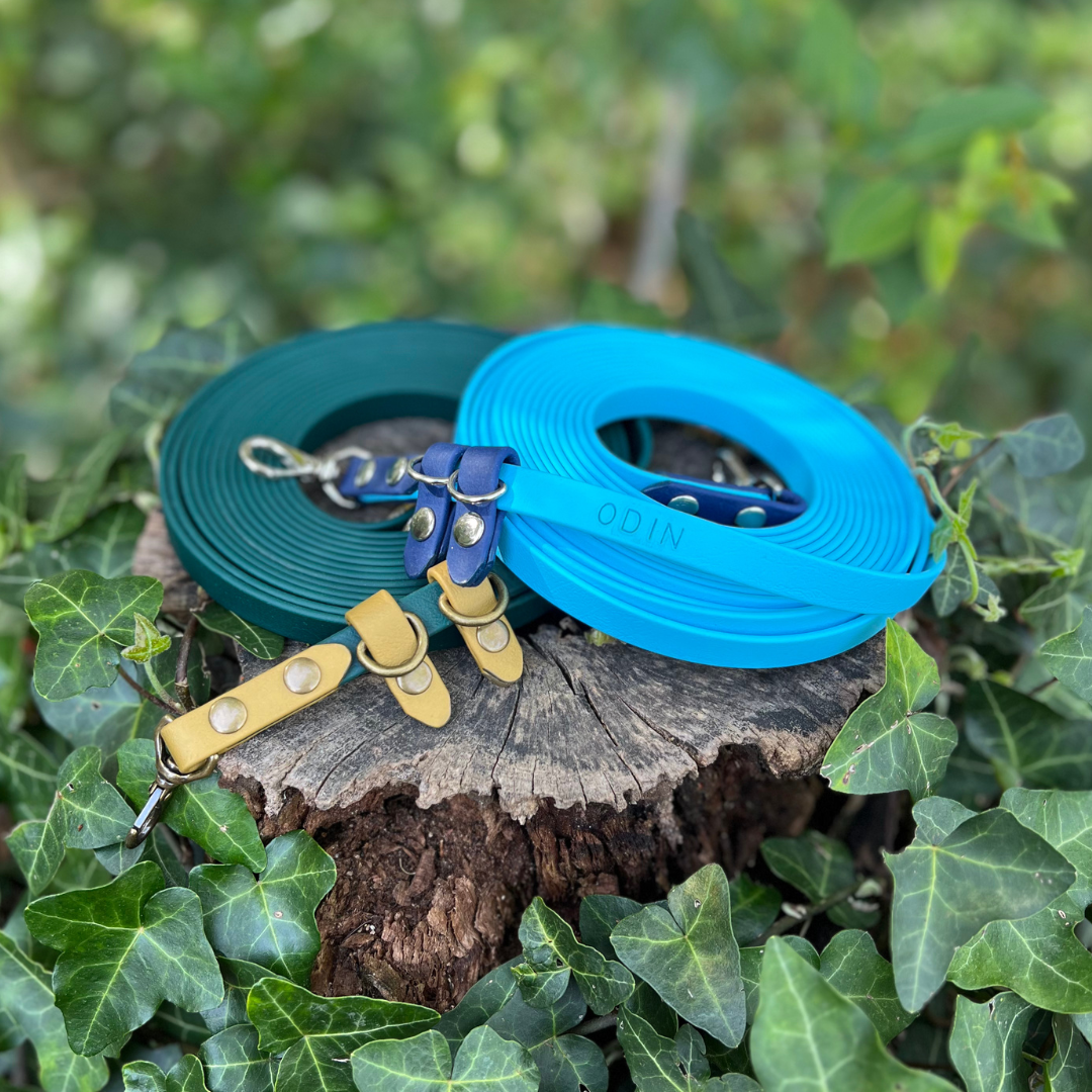 The Kylo Leash: Custom Convertible/Hands-Free BioThane® Cat Leash
