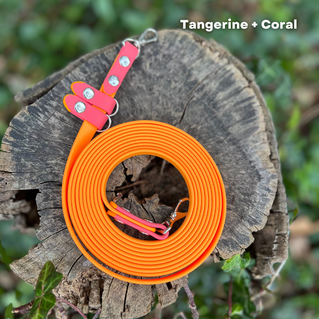The Kylo Leash: Custom Convertible/Hands-Free BioThane® Cat Leash
