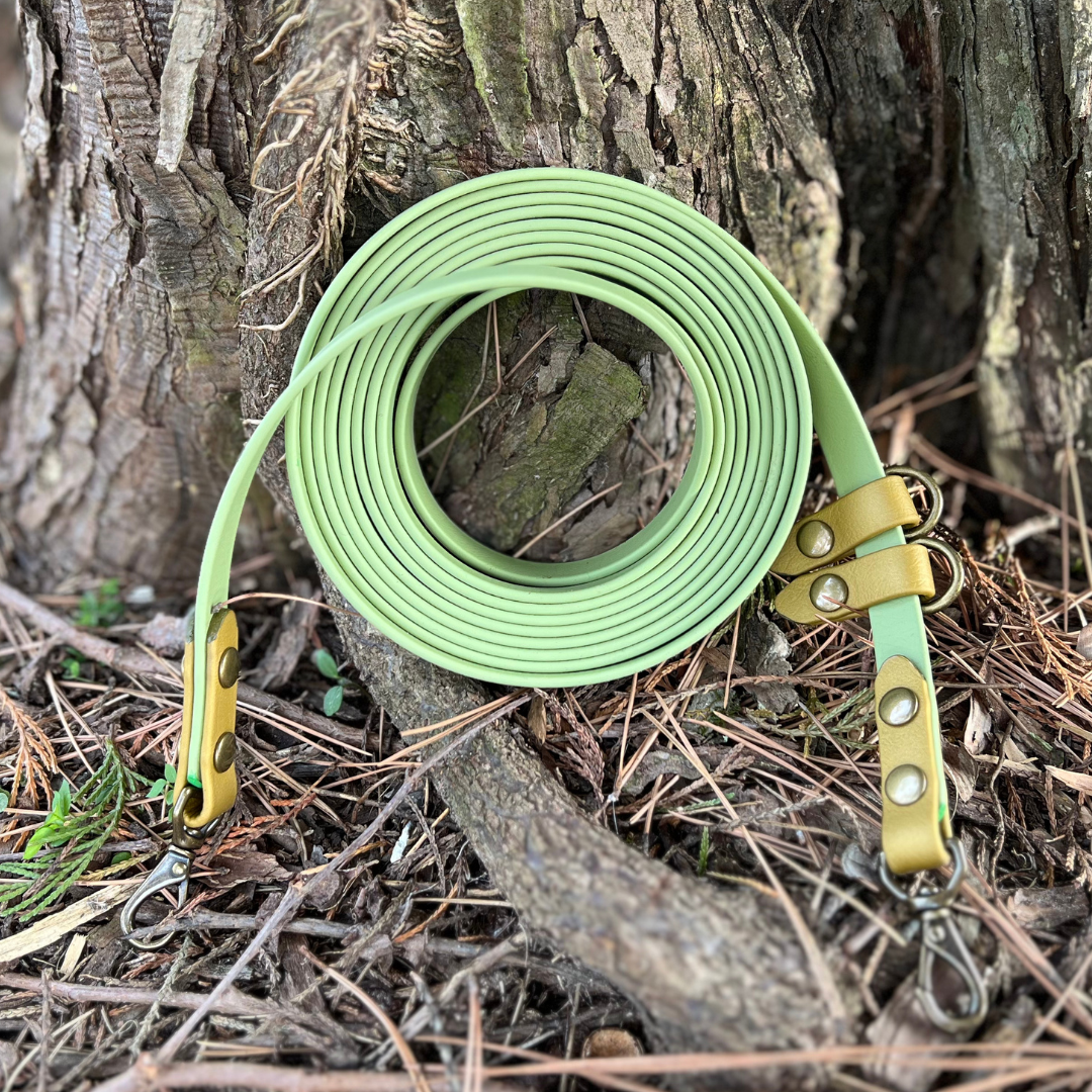 PREMADE: Convertible/Hands-Free Kylo Leash - 10ft, avocado + gold