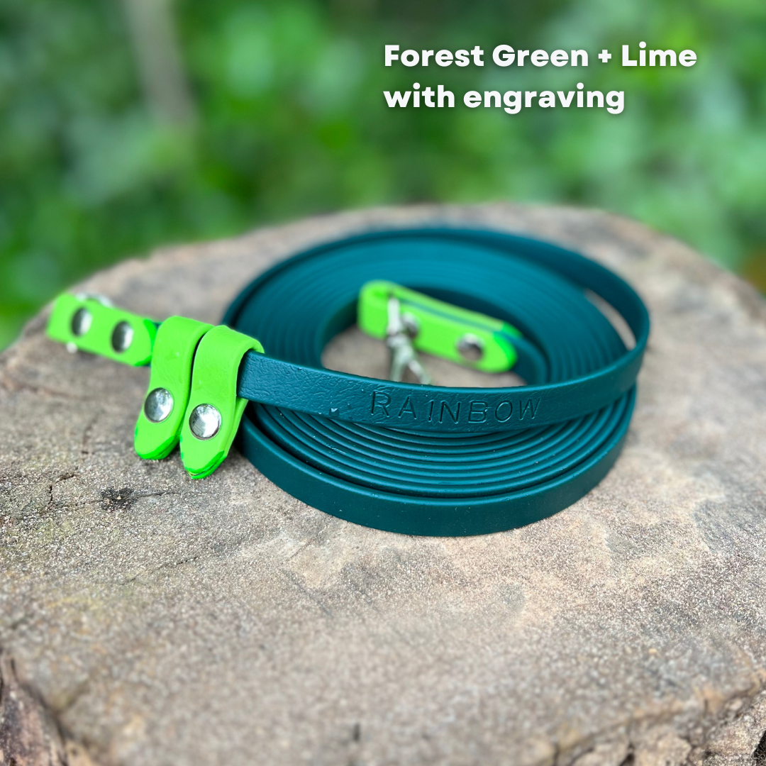 The Kylo Leash: Custom Convertible/Hands-Free BioThane® Cat Leash