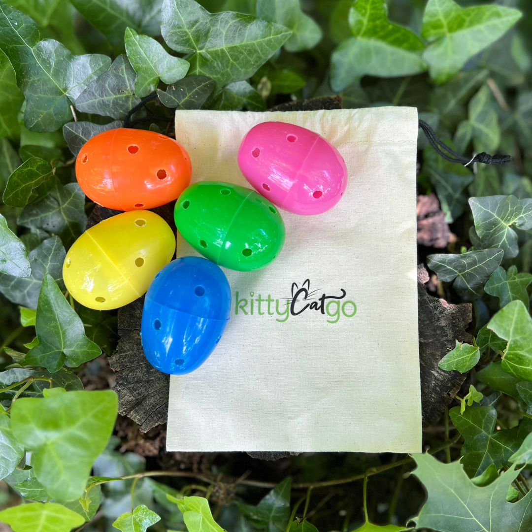 Cat Foraging Egg Scent Game