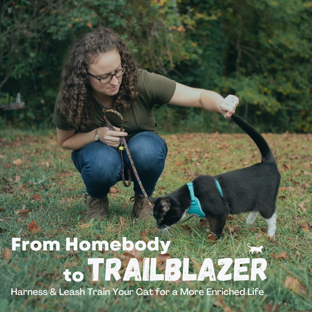 Harness Leash Training Course – KittyCatGO