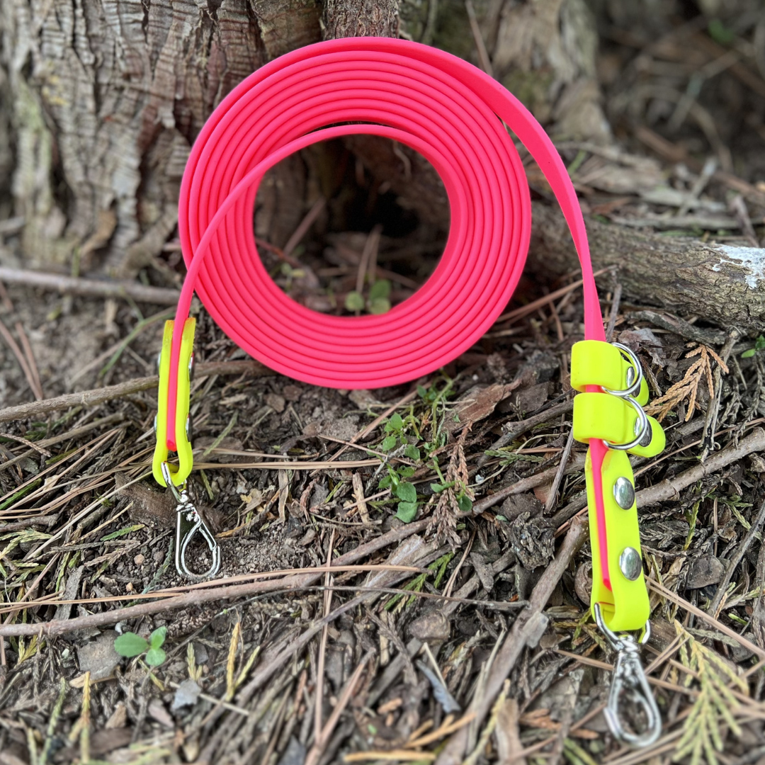 PREMADE: Convertible/Hands-Free Kylo Leash - 8ft, hot pink + neon yellow