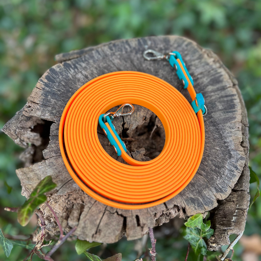 PREMADE: Convertible/Hands-Free Kylo Leash - 13ft, tangerine + teal
