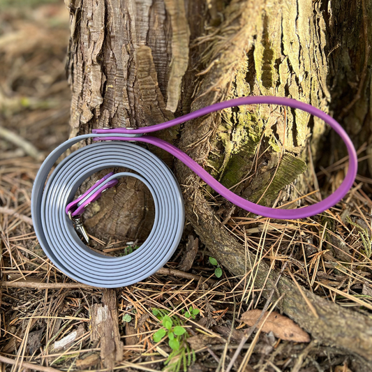 PREMADE: Basic Kylo Leash - 8ft, gray + grape