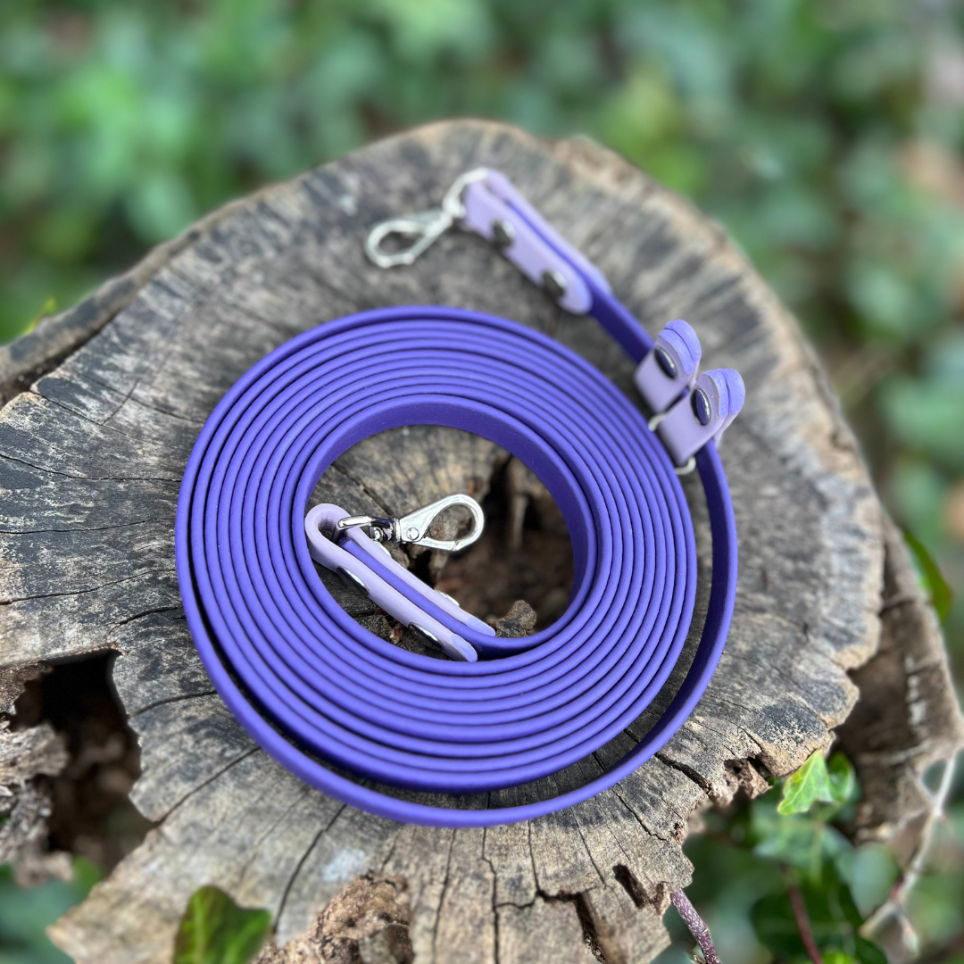PREMADE: Convertible/Hands-Free Kylo Leash - 10ft, purple + lavender