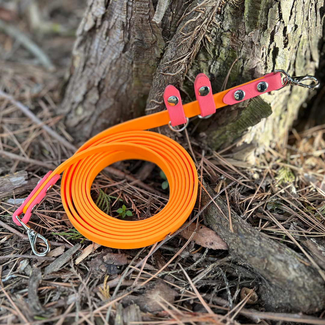 PREMADE: Convertible/Hands-Free Kylo Leash - 7ft, tangerine + coral