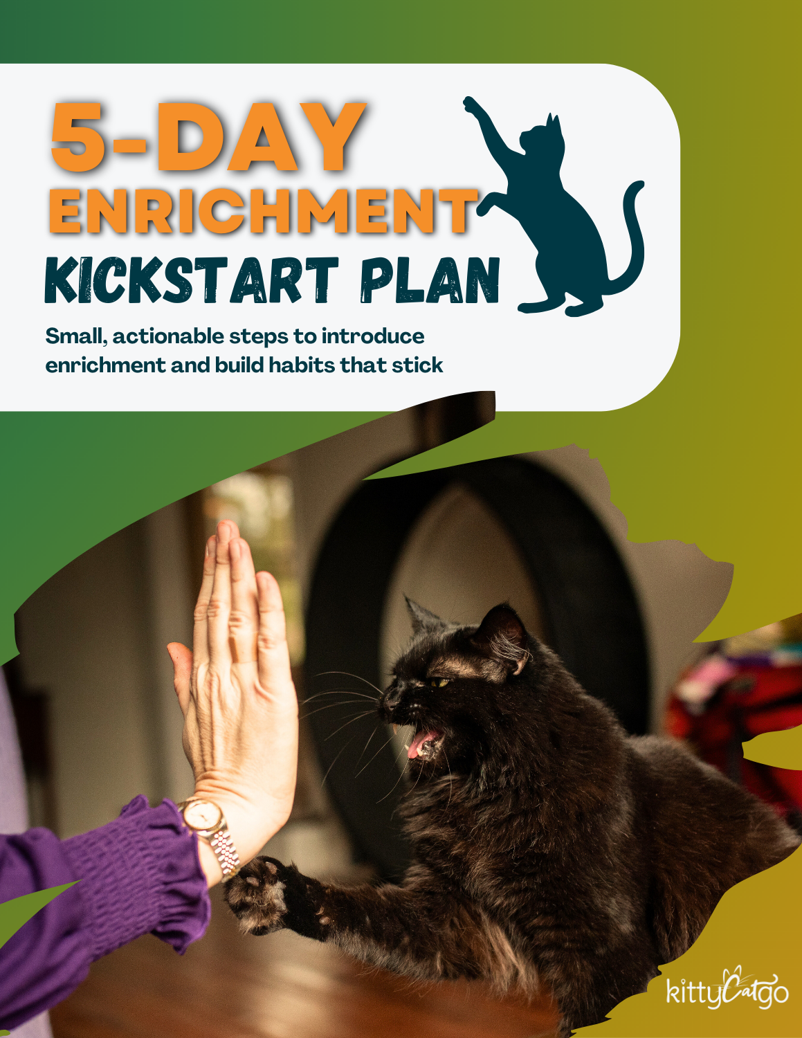 The 5-Day Cat Enrichment Kickstart Plan (add on)