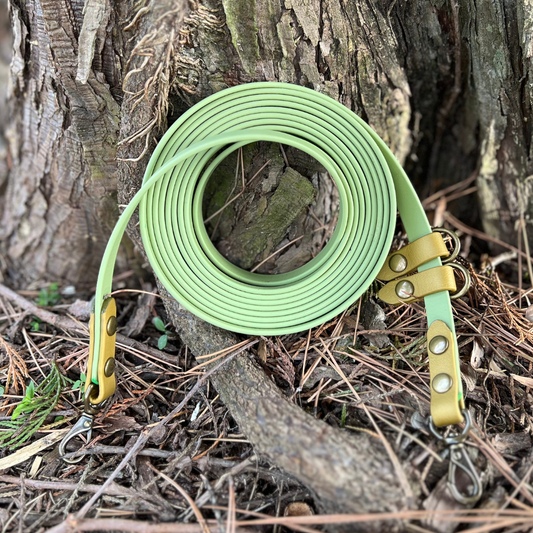 PREMADE: Convertible/Hands-Free Kylo Leash - 10ft, avocado + gold