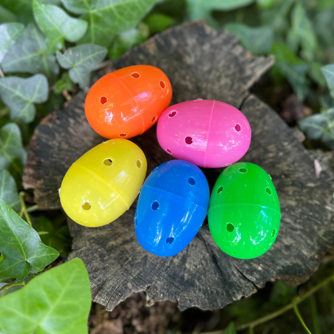 Cat Foraging Egg Scent Game – KittyCatGO