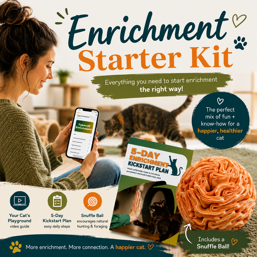 Cat Enrichment Starter Kit