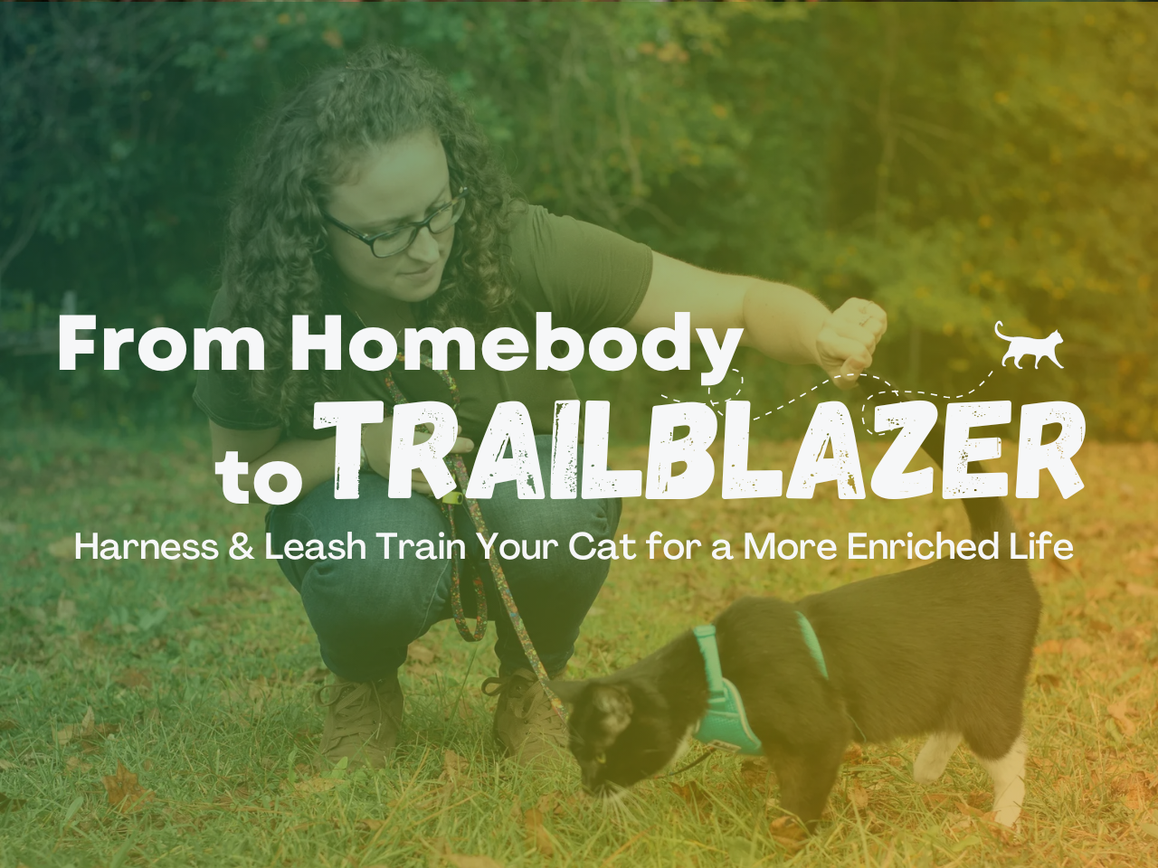 Harness & Leash Training Course