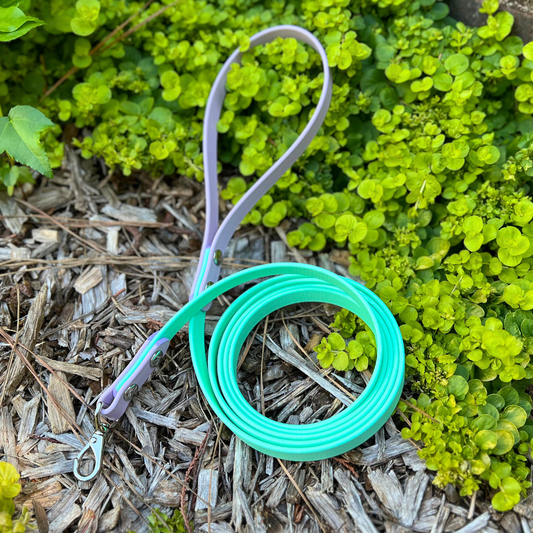 PREMADE: Basic Kylo Leash - 5ft, sea foam + lavender