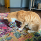Snuffle Ball - Mini