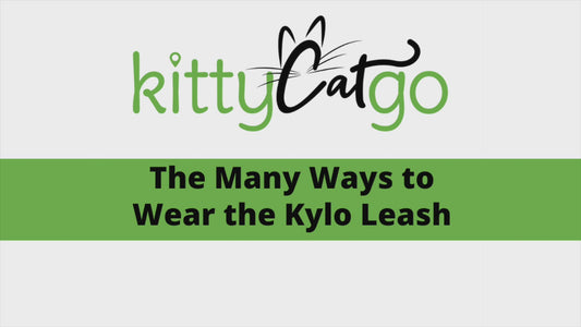 The Kylo Leash: Custom Convertible/Hands-Free BioThane® Cat Leash