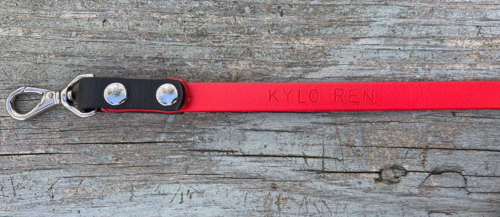 The Kylo Leash: Custom Convertible/Hands-Free BioThane® Cat Leash