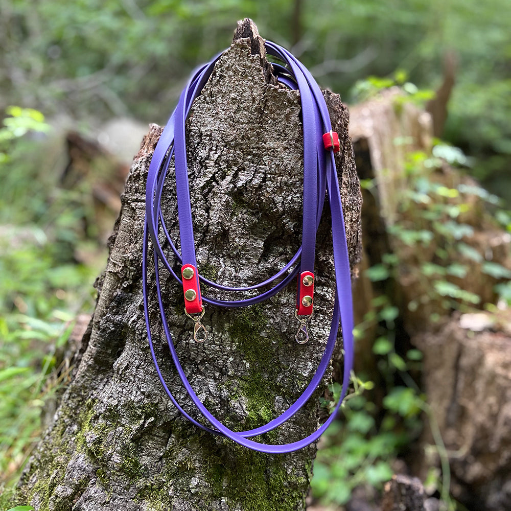 The Kylo Leash: Custom Convertible/Hands-Free BioThane® Cat Leash