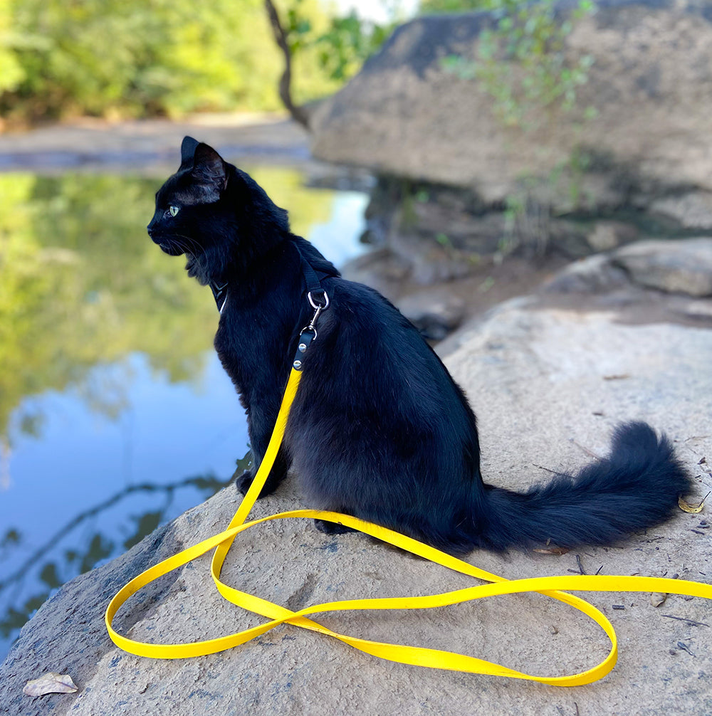 The Kylo Leash: Custom Convertible/Hands-Free BioThane® Cat Leash